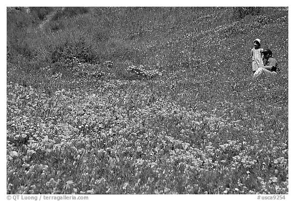 Man and girl in a wildflower field. Antelope Valley, California, USA (black and white)