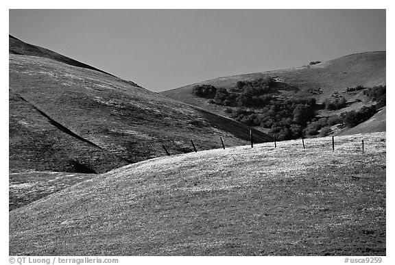 Gorman Hills in the spring. California, USA