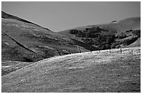 Gorman Hills in the spring. California, USA (black and white)