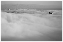 Pilar of the Golden Gate Bridge emerging from the fog at sunset. San Francisco, California, USA ( black and white)