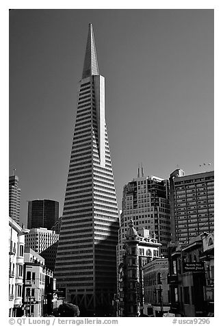 Transamerica Pyramid and Columbus Tower. San Francisco, California, USA (black and white)