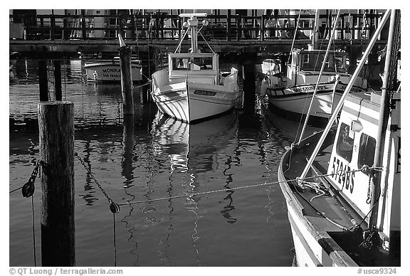 Fishing boats  anchored in  Fisherman's Wharf. San Francisco, California, USA (black and white)