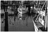 Fishing boats  anchored in  Fisherman's Wharf. San Francisco, California, USA ( black and white)
