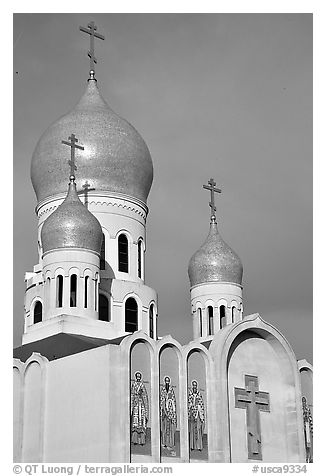 Bulbs of Russian Orthodox Holy Virgin Cathedral. San Francisco, California, USA (black and white)