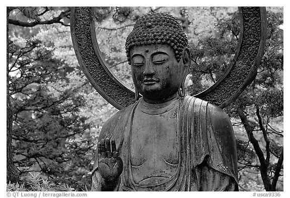 Buddha statue in the Japanese Garden, Golden Gate Park. San Francisco, California, USA