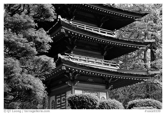 Pagoda, Japanese Garden, Golden Gate Park. San Francisco, California, USA