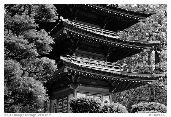 Pagoda, Japanese Garden, Golden Gate Park. San Francisco, California, USA