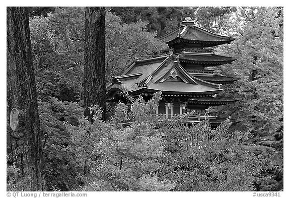 Pagoda amidst trees in fall colors, Japanese Garden, Golden Gate Park. San Francisco, California, USA