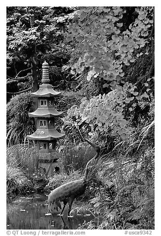 Stupa, Japanese Garden, Golden Gate Park. San Francisco, California, USA (black and white)