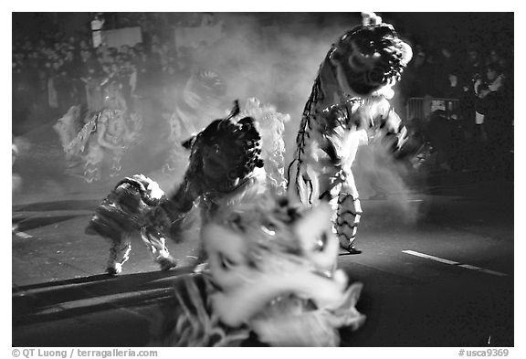 Dragon dancing during the Chinese New Year celebration. San Francisco, California, USA