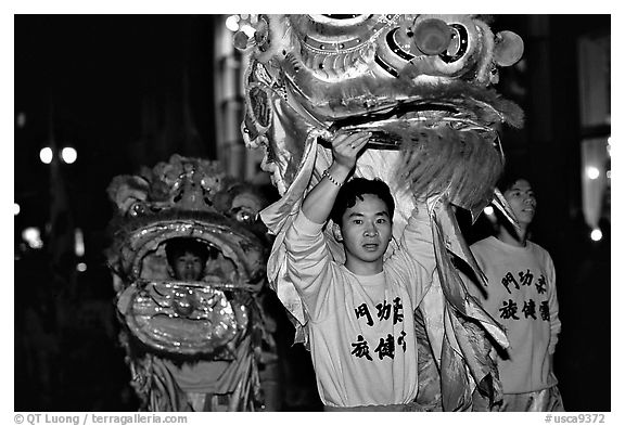 Lion dancers  during the Chinese New Year celebration. San Francisco, California, USA (black and white)