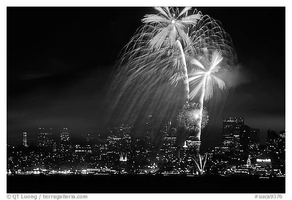 fourth of July fireworks above the City. San Francisco, California, USA