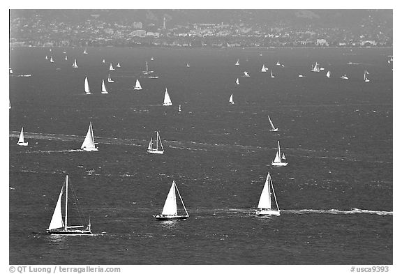 Sailboats in the Bay, seen from Marin. California, USA (black and white)
