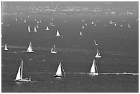 Sailboats in the Bay, seen from Marin. California, USA (black and white)