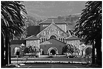 Quad from Palm Drive, late afternoon. Stanford University, California, USA (black and white)