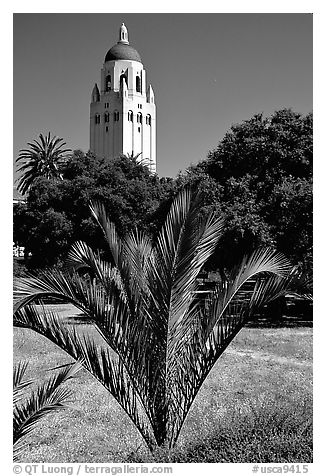 Hoover tower. Stanford University, California, USA (black and white)