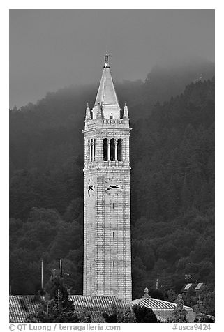 The Campanile, University of California at Berkeley campus. Berkeley, California, USA