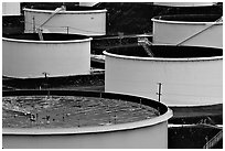 Oil tanks,  ConocoPhillips refinery, Rodeo. San Pablo Bay, California, USA (black and white)