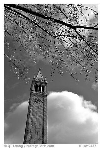 The Campanile, University of California at Berkeley campus. Berkeley, California, USA (black and white)