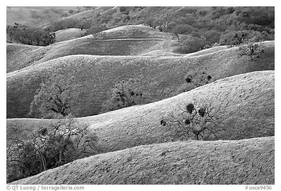 Ridges, Joseph Grant County Park. San Jose, California, USA (black and white)
