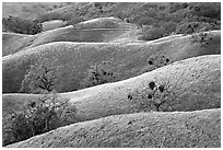 Ridges, Joseph Grant County Park. San Jose, California, USA (black and white)