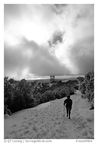 Summit trail after a snow-storm, Mt Diablo State Park. California, USA (black and white)