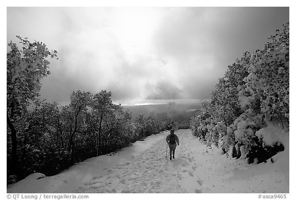 Summit trail after a snow-storm, Mt Diablo State Park. California, USA (black and white)
