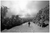 Summit trail after a snow-storm, Mt Diablo State Park. California, USA (black and white)