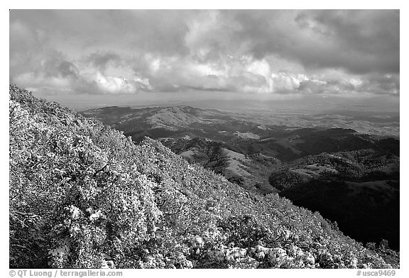 Looking towards green hills from the summit after a snow storm, Mt Diablo State Park. California, USA (black and white)