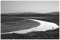 Wetlands at dusk, Palo Alto Baylands Preserve. Palo Alto,  California, USA ( black and white)