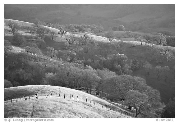 Hills, Joseph Grant County Park. San Jose, California, USA (black and white)