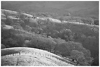 Hills, Joseph Grant County Park. San Jose, California, USA (black and white)