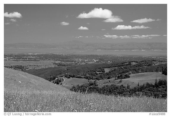 Meadows in the spring, with the Silicon Valley in the distance,  Russian Ridge Open Space Preserve. Palo Alto,  California, USA (black and white)