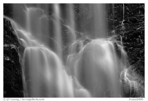 Berry Creek Falls. Big Basin Redwoods State Park,  California, USA (black and white)