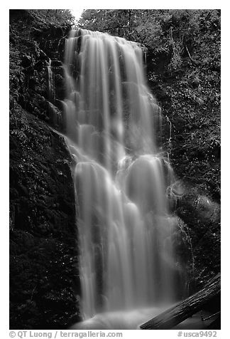 Berry Creek Falls. Big Basin Redwoods State Park,  California, USA (black and white)