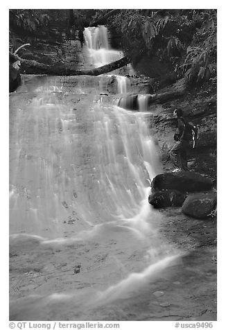 Golden cascade and hiker. Big Basin Redwoods State Park,  California, USA