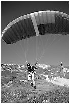 Paraglider launching, the Dumps, Pacifica. San Mateo County, California, USA (black and white)