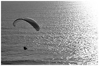 Paraglider above the ocean, the Dumps, Pacifica. San Mateo County, California, USA (black and white)