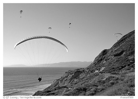 Paragliders soaring above cliffs, the Dumps, Pacifica. San Mateo County, California, USA (black and white)