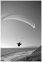 Paragliding above the ocean, the Dumps, Pacifica. San Mateo County, California, USA (black and white)