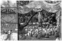 Pumpkin patch. San Jose, California, USA ( black and white)