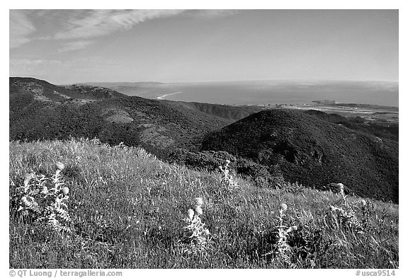 Montara Mountain and Pacific coast. San Mateo County, California, USA (black and white)