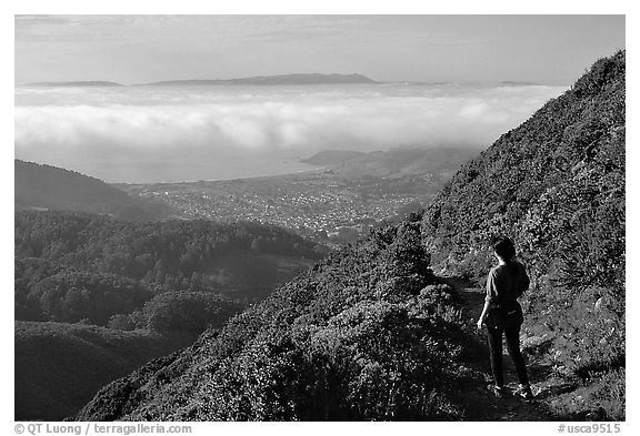 Hiker on Montara Mountain. San Mateo County, California, USA (black and white)