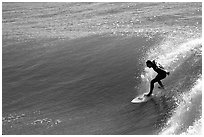 Surfer, morning. Santa Cruz, California, USA (black and white)