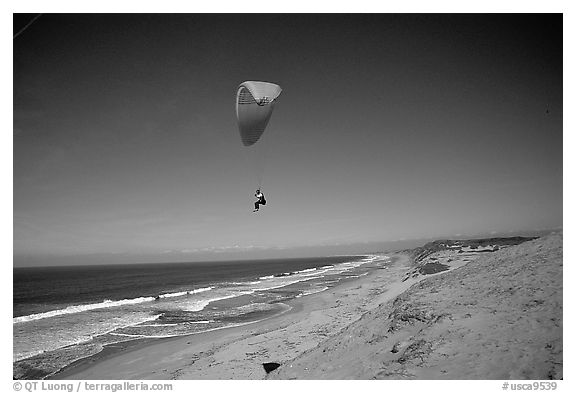 Paragliders soaring above Marina sand dunes. California, USA (black and white)