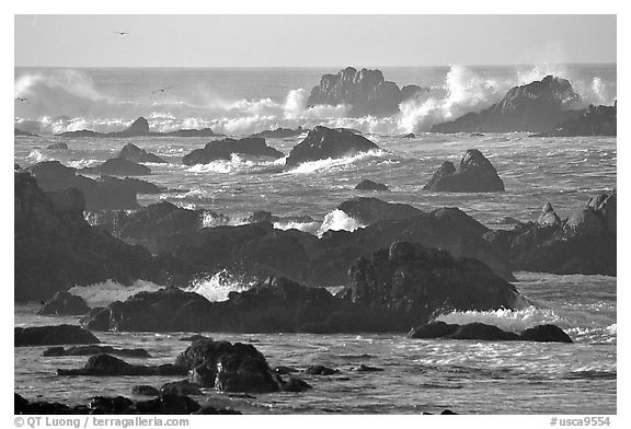 Surf and rocks, Ocean drive, Carmel. Pacific Grove, California, USA