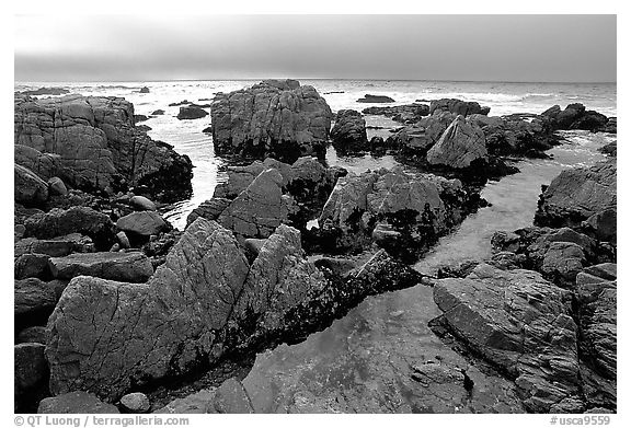 Pool, rocks, foggy sunset, seventeen-mile drive. Pebble Beach, California, USA (black and white)