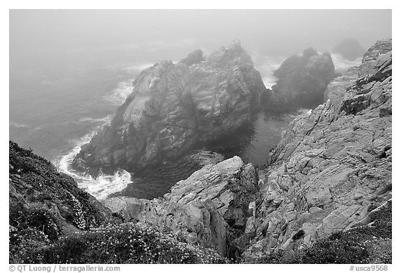 Pinnacle Cove with fog. Point Lobos State Preserve, California, USA (black and white)