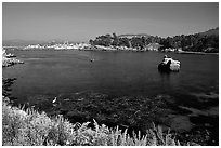 Whalers cove. Point Lobos State Preserve, California, USA ( black and white)