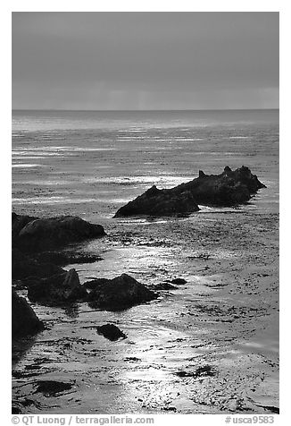 Rocks and sun reflections. Big Sur, California, USA (black and white)